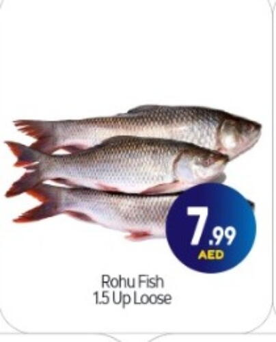 available at BIGmart in UAE - Abu Dhabi