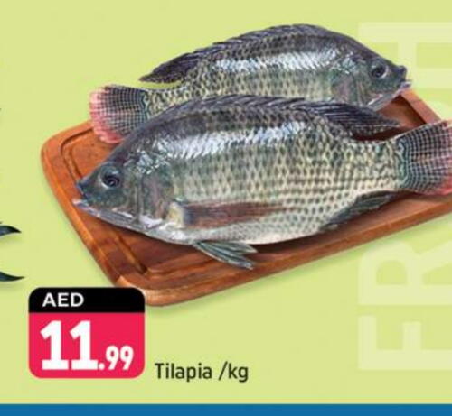 available at Shaklan  in UAE - Dubai
