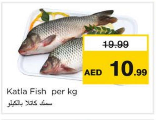available at نستو هايبرماركت in الإمارات العربية المتحدة , الامارات - رَأْس ٱلْخَيْمَة
