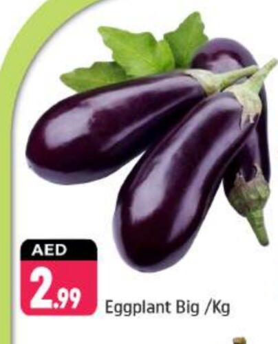 Fresh Vegetables in Shaklan , UAE Offers - United Arab Emirates Eggplant available at Shaklan in UAE - Dubai