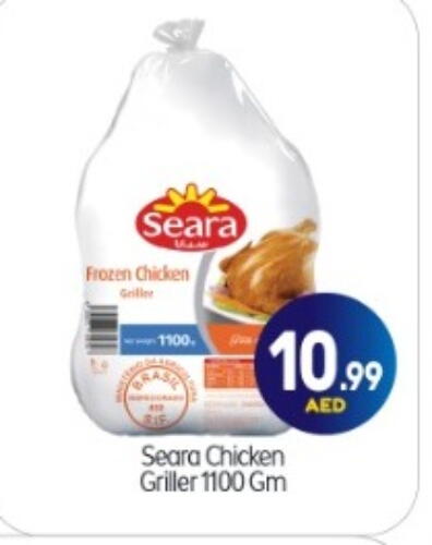 SEARA Frozen Whole Chicken available at BIGmart in UAE - Abu Dhabi