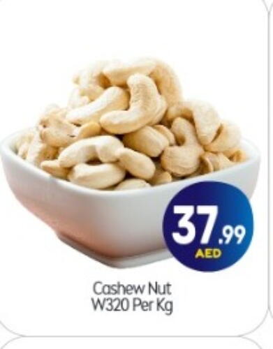 available at بيج مارت in الإمارات العربية المتحدة , الامارات - أبو ظبي