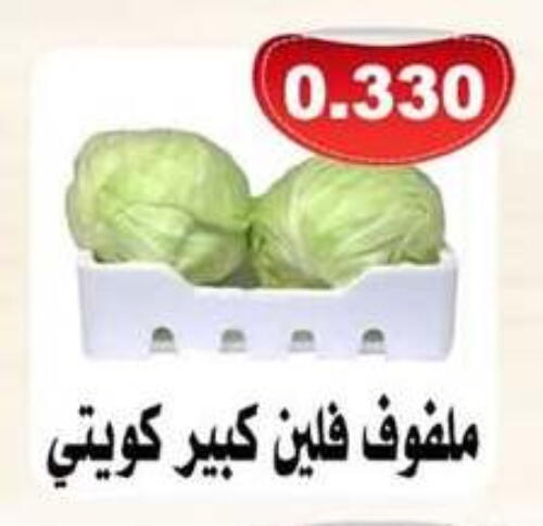 Cabbage available at Jaber Al-Ahmad Cooperative Society in Kuwait - Jahra Governorate