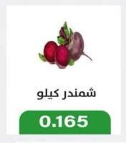 Beetroot available at Jleeb Coop in Kuwait - Kuwait City
