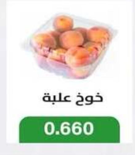 فاكهة طازجة in جمعية جليب الشويخ التعاونية, الكويت Offers - الكويت خوخ available at جمعية جليب الشويخ التعاونية in الكويت - مدينة الكويت