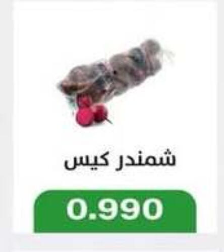 Beetroot available at Jleeb Coop in Kuwait - Kuwait City