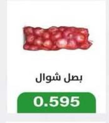 Onion available at Jleeb Coop in Kuwait - Kuwait City