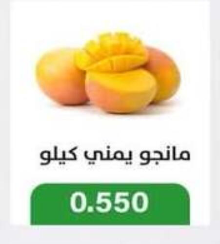 زيبا زيبا available at جمعية جليب الشويخ التعاونية in الكويت - مدينة الكويت