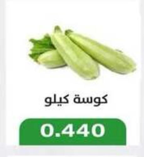 Zucchini available at Jleeb Coop in Kuwait - Kuwait City