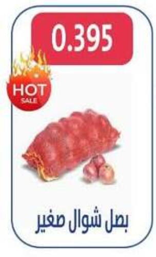 Onion available at Al Jahra Cooperative Society in Kuwait - Jahra Governorate
