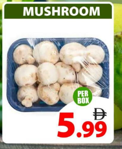 Mushroom available at Grand Hyper Market in UAE - Dubai