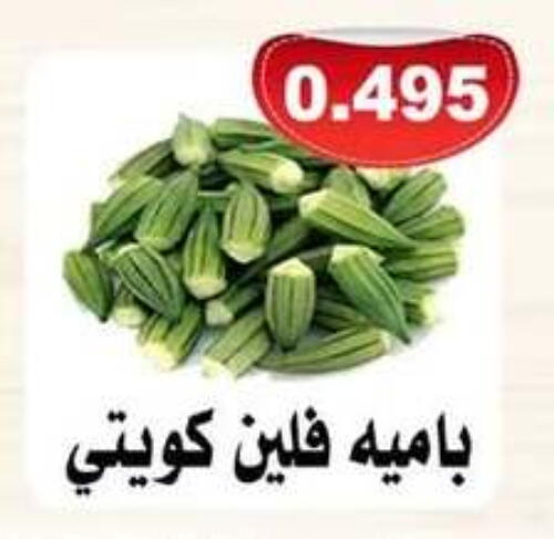 Lady's finger available at Jaber Al-Ahmad Cooperative Society in Kuwait - Ahmadi Governorate