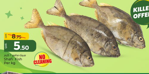 Fresh Fish in Paris Hypermarket, Qatar Offers - Qatar available at Paris Hypermarket in Qatar - Al-Shahaniya