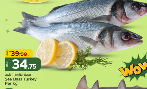 Fresh Fish in Paris Hypermarket, Qatar Offers - Qatar available at Paris Hypermarket in Qatar - Al-Shahaniya
