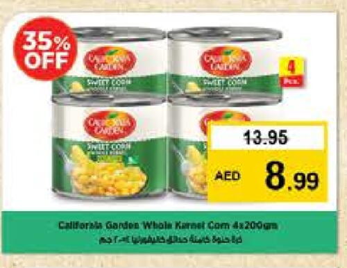 كاليفورنيا جاردن available at نستو هايبرماركت in الإمارات العربية المتحدة , الامارات - دبي