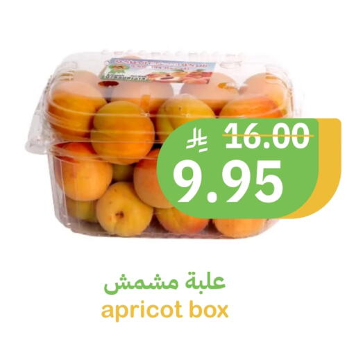 Apricot available at أسواق قاطبة in مملكة العربية السعودية, السعودية, سعودية - بريدة