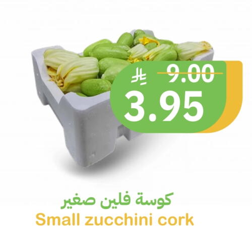 الخضروات الطازجة in أسواق قاطبة, المملكة العربية السعودية Offers - المملكة العربية السعودية Zucchini available at أسواق قاطبة in مملكة العربية السعودية, السعودية, سعودية - بريدة