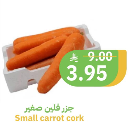 الخضروات الطازجة in أسواق قاطبة, المملكة العربية السعودية Offers - المملكة العربية السعودية جزر available at أسواق قاطبة in مملكة العربية السعودية, السعودية, سعودية - بريدة