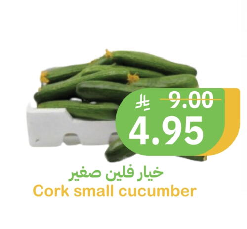 الخضروات الطازجة in أسواق قاطبة, المملكة العربية السعودية Offers - المملكة العربية السعودية Cucumber available at أسواق قاطبة in مملكة العربية السعودية, السعودية, سعودية - بريدة