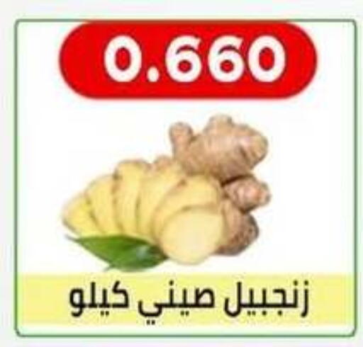 Fresh Vegetables in Al Ardhiya coop , Kuwait Offers - Kuwait Ginger available at Al Ardhiya coop in Kuwait - Kuwait City
