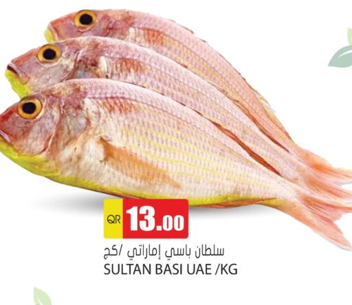 available at Grand Hypermarket in Qatar - Doha