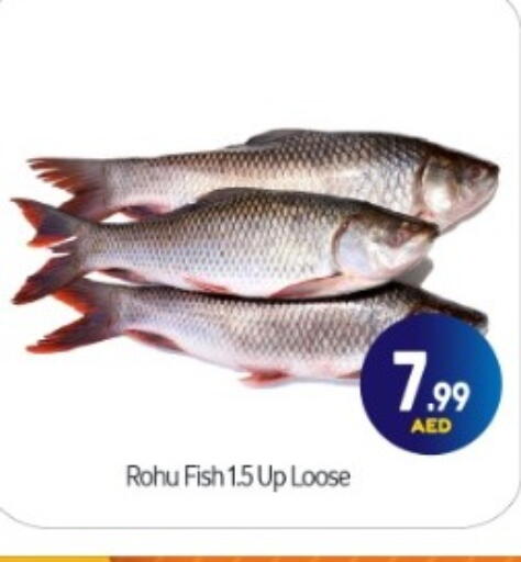 available at BIGmart in UAE - Abu Dhabi