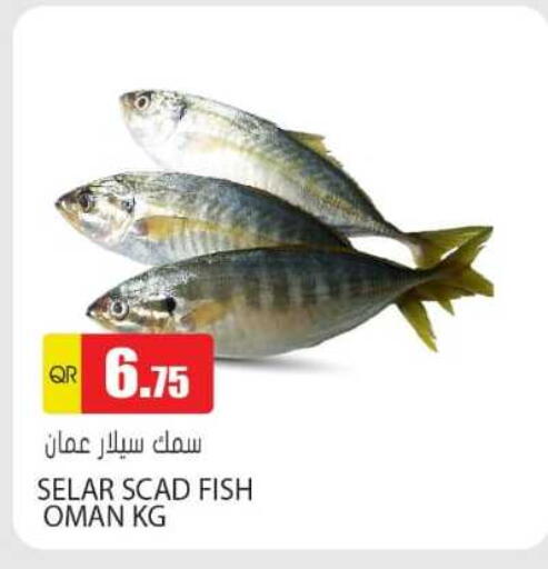available at جراند هايبرماركت in قطر - الدوحة
