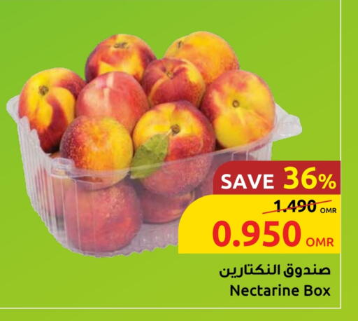 Nectarine available at Sultan Center  in Oman - Salalah