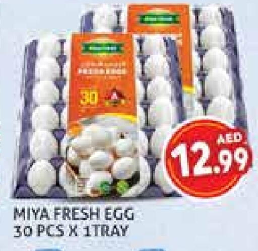 available at Palm Centre LLC in UAE - Sharjah / Ajman