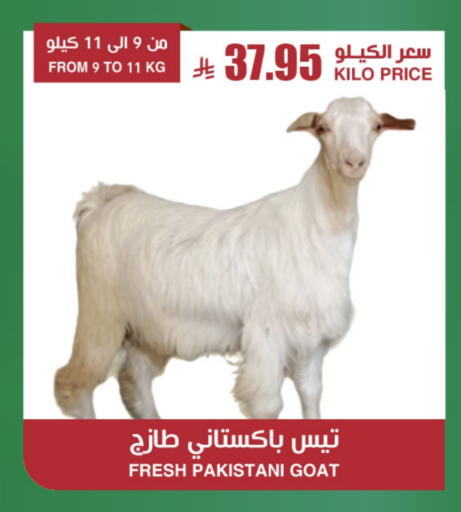 Meat - Fresh & Chilled in Prime Supermarket, Saudi Arabia Offers - Saudi Arabia Mutton / Lamb available at Prime Supermarket in KSA, Saudi Arabia, Saudi - Ta'if
