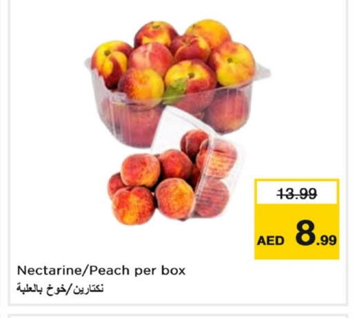 برقوق available at لاست تشانس in الإمارات العربية المتحدة , الامارات - ٱلْفُجَيْرَة‎
