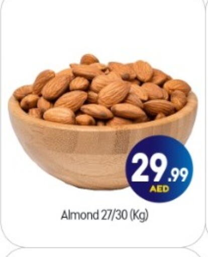 available at بيج مارت in الإمارات العربية المتحدة , الامارات - أبو ظبي