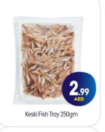 available at BIGmart in UAE - Abu Dhabi