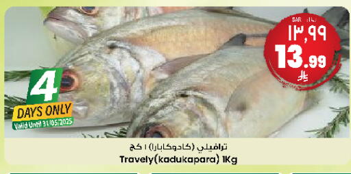 available at City Flower in KSA, Saudi Arabia, Saudi - Jubail