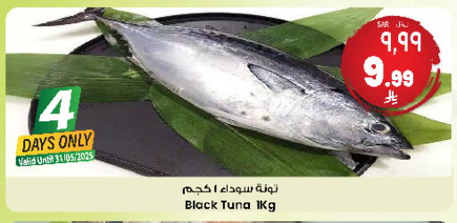Tuna available at City Flower in KSA, Saudi Arabia, Saudi - Jubail