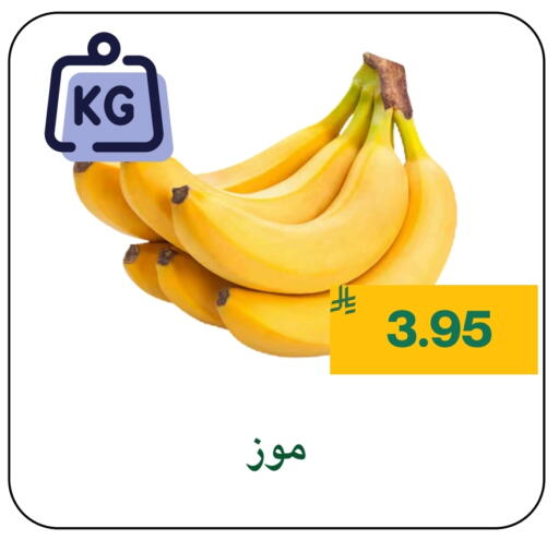 Banana available at Mahasen Central Markets in KSA, Saudi Arabia, Saudi - Al Hasa