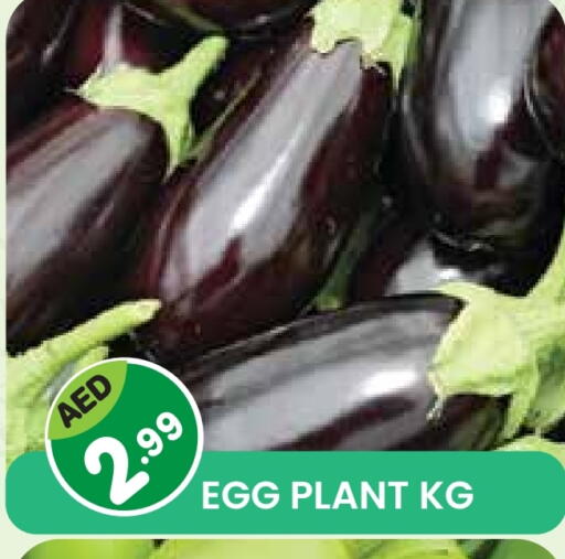 available at سنابل بني ياس in الإمارات العربية المتحدة , الامارات - أم القيوين‎
