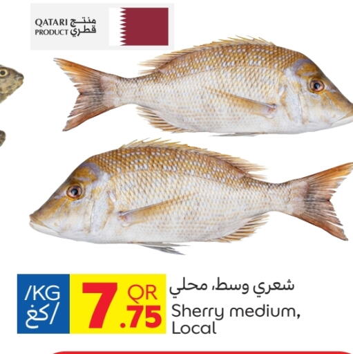 Fresh Fish in Carrefour, Qatar Offers - Qatar available at Carrefour in Qatar - Al Wakra