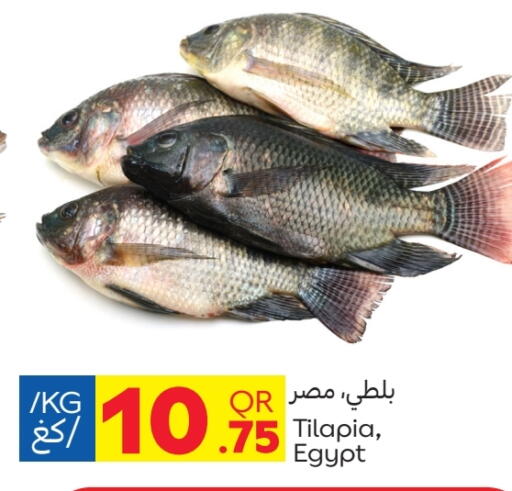 Fresh Fish in Carrefour, Qatar Offers - Qatar available at Carrefour in Qatar - Al Wakra