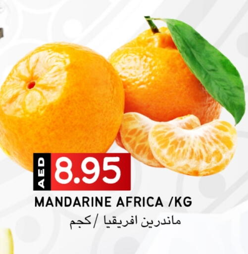 available at سيليكت ماركت in الإمارات العربية المتحدة , الامارات - أبو ظبي