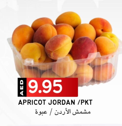 Apricot available at سيليكت ماركت in الإمارات العربية المتحدة , الامارات - أبو ظبي