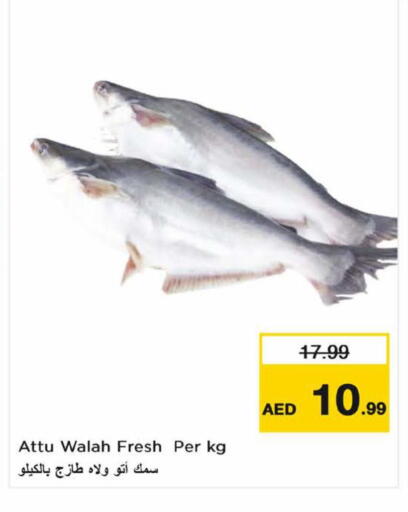 available at Nesto Hypermarket in UAE - Dubai