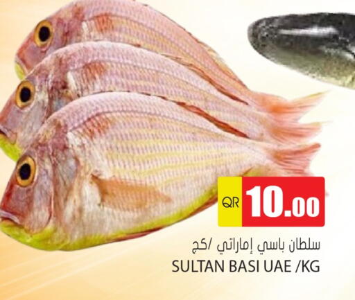 available at Grand Hypermarket in Qatar - Al Rayyan