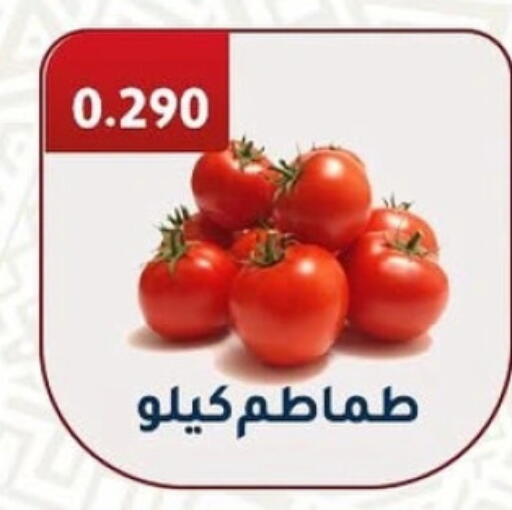 Tomato available at Al Fahaheel Co - Op Society in Kuwait - Ahmadi Governorate