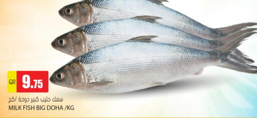 available at Grand Hypermarket in Qatar - Al Wakra