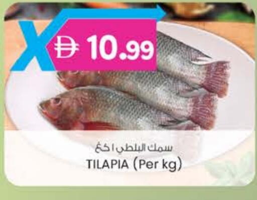 available at الصفا in الإمارات العربية المتحدة , الامارات - ٱلْعَيْن‎