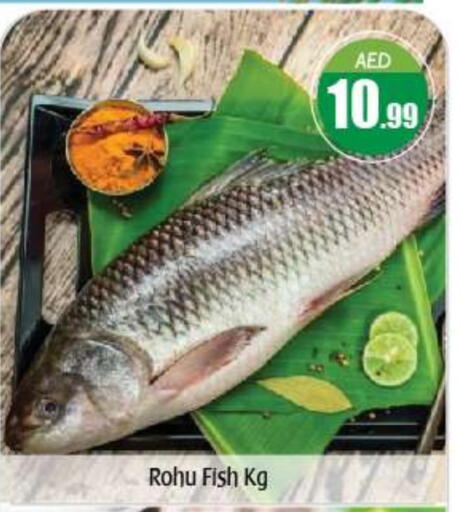 available at بيج مارت in الإمارات العربية المتحدة , الامارات - أبو ظبي