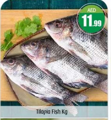 available at بيج مارت in الإمارات العربية المتحدة , الامارات - أبو ظبي