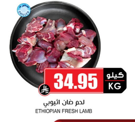 لحم الضأن / الغنم available at أسواق النخبة in مملكة العربية السعودية, السعودية, سعودية - تبوك