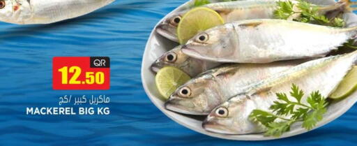 available at Grand Hypermarket in Qatar - Al-Shahaniya